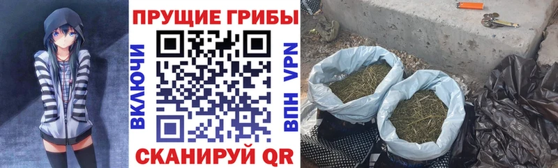 Купить Краснослободск Псилоцибиновые грибы прущие грибы